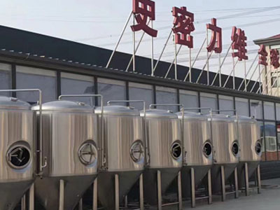 宝丰精酿啤酒设备厂—市场规模与跨界新需求